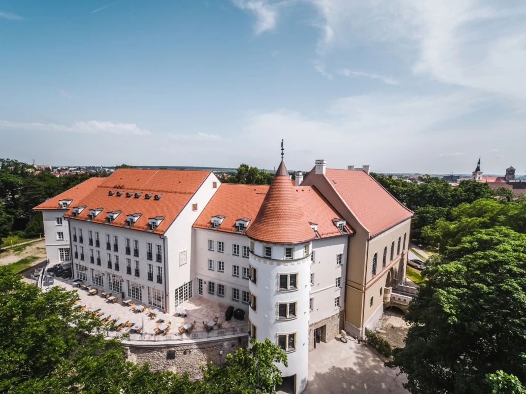 Palace Art Hotel